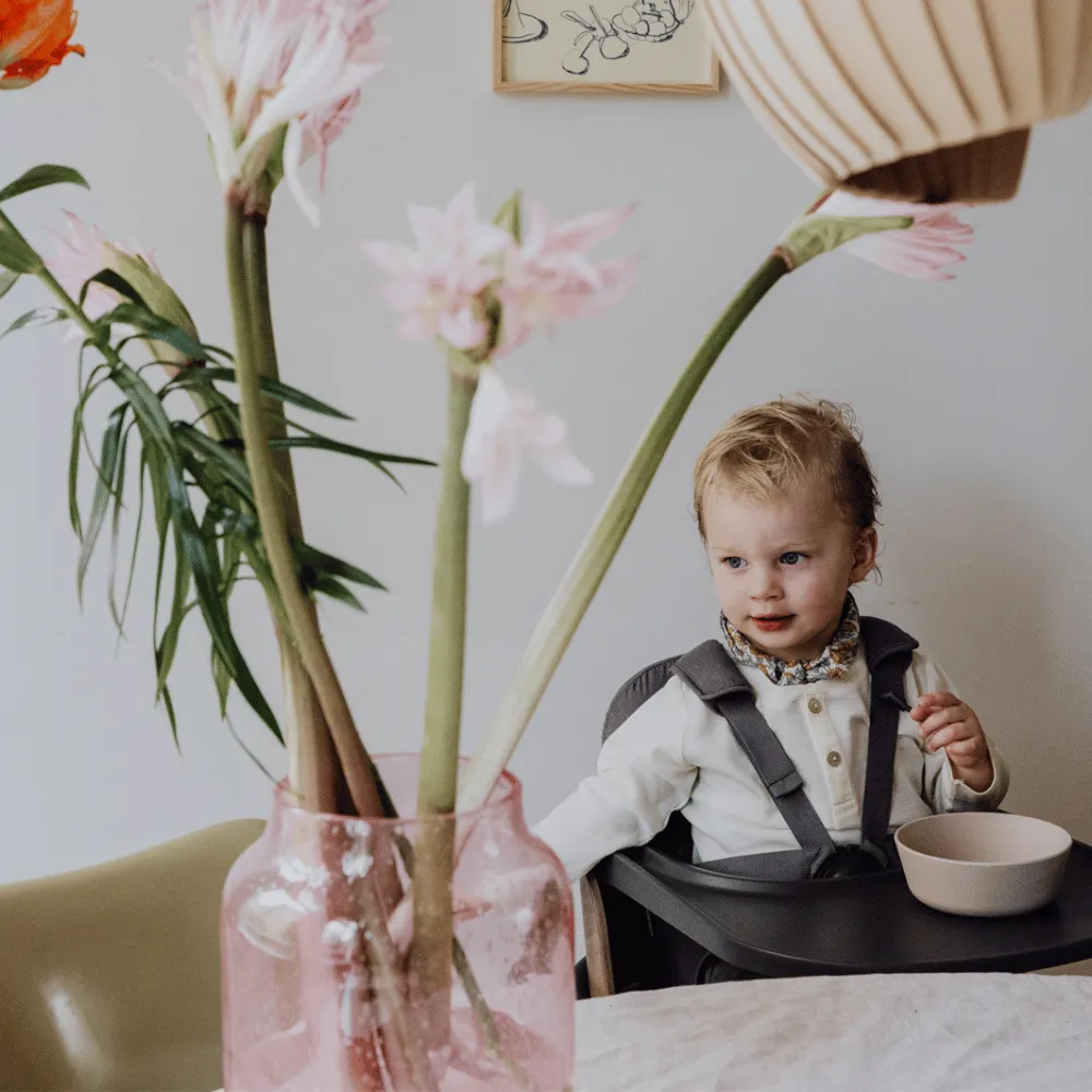 High chair - Adjustable - 0-6 Years