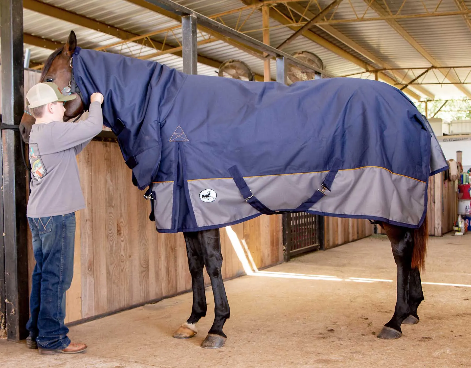 Jeffers Economy Plus Combo Neck Medium Weight Horse Turnout Blanket