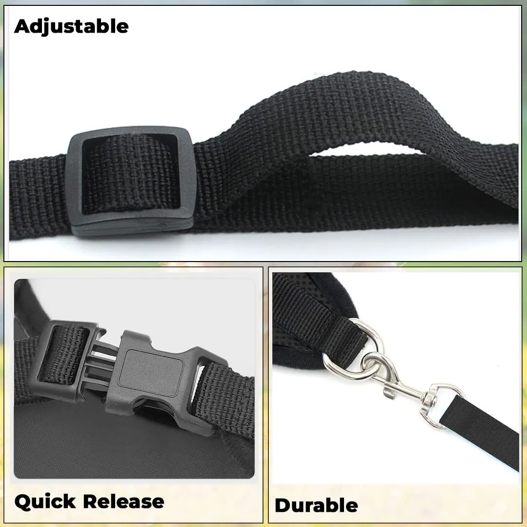 Kuber Industries Dog Harness With Adjustable Leash | Breathable Polyester Mesh | Medium Size | HAT-818 | Comfortable No-Pull Grip | Quick Release Buckles | Black Pet Walking Set