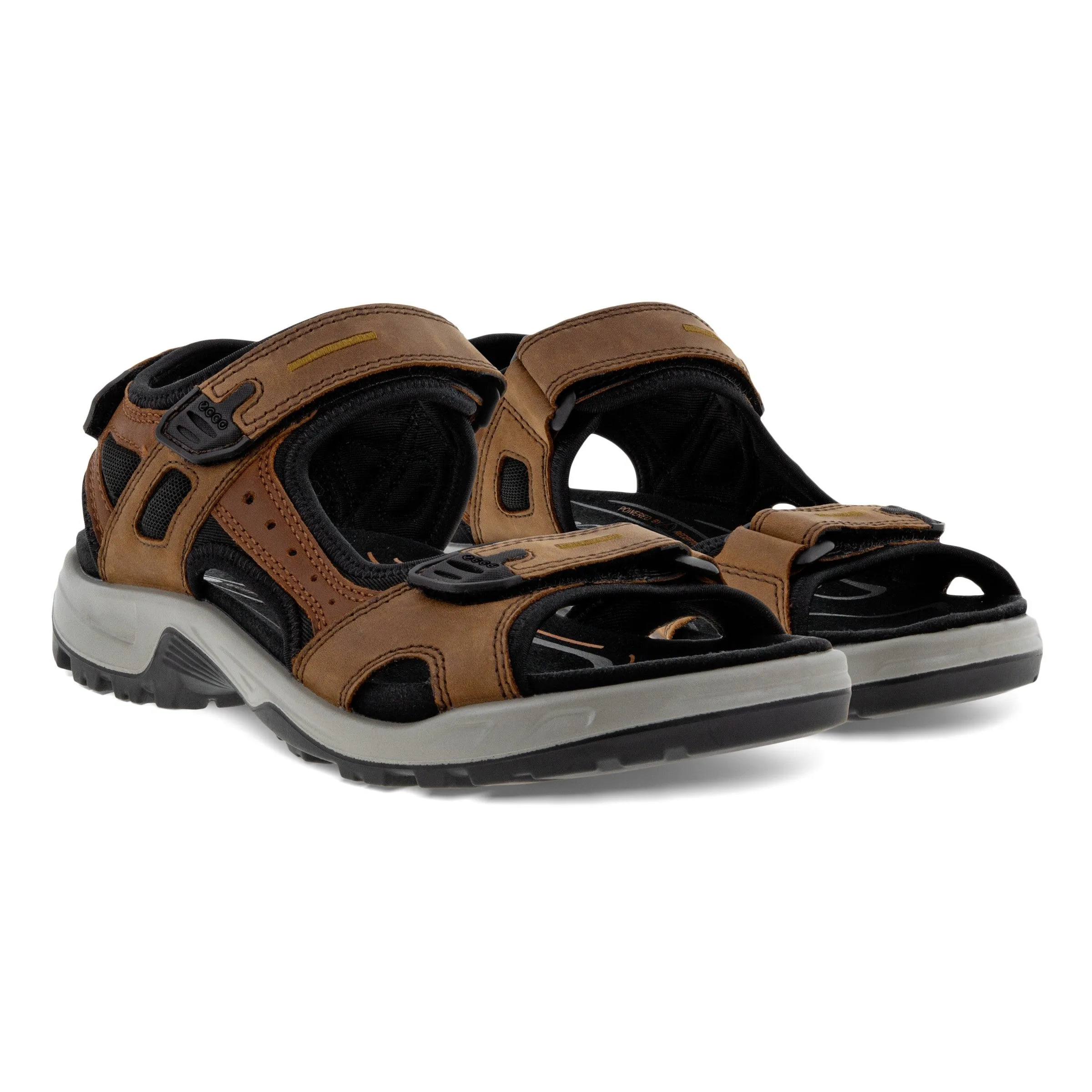 Men's Ecco Yucatan Sandal Color: Espresso / Cocoa Brown/ Black