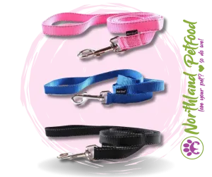 Pet One Reflective Leash- Assorted colours