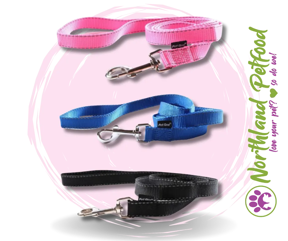 Pet One Reflective Leash- Assorted colours