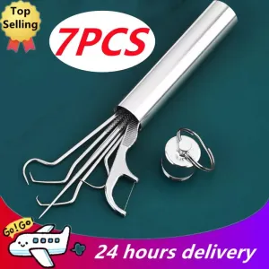 Stainless Steel Tartar Remover Set: Hygienic Oral Care Solution