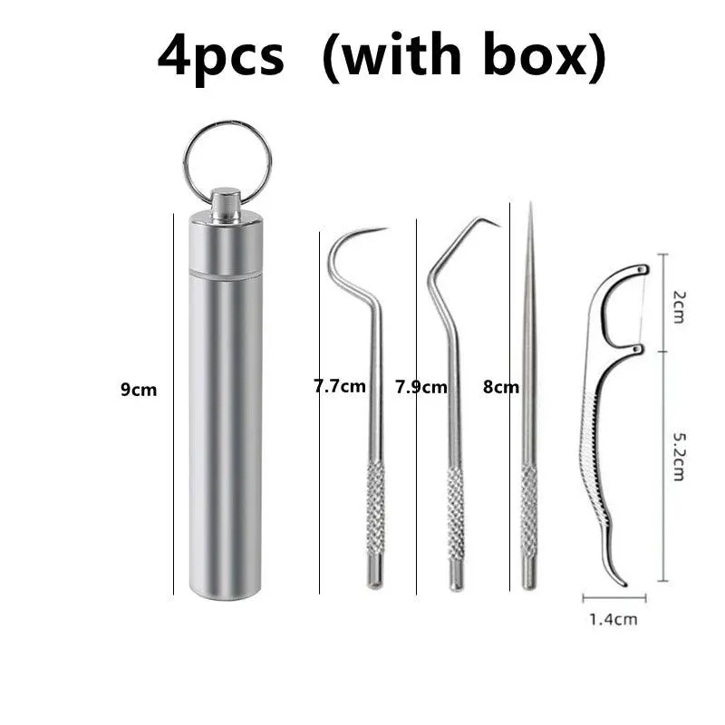 Stainless Steel Tartar Remover Set: Hygienic Oral Care Solution